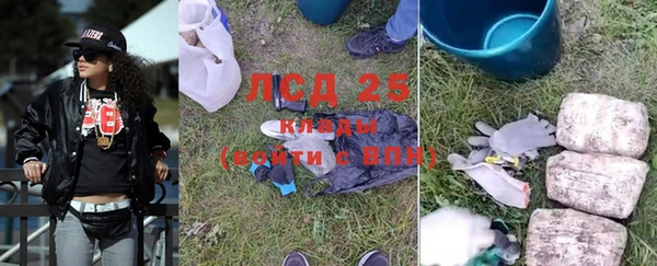 ПСИЛОЦИБИНОВЫЕ ГРИБЫ Богородицк