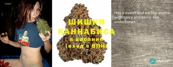 ПСИЛОЦИБИНОВЫЕ ГРИБЫ Богородицк