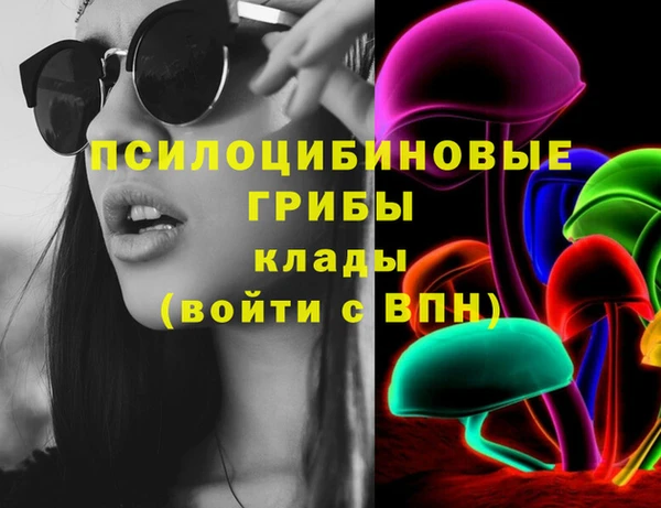 эйфоретик Аркадак
